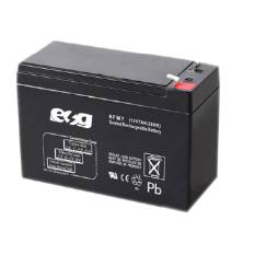 Ắc quy ESG 12V-9AH