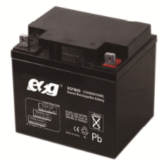 Ắc quy ESG 12V-40AH