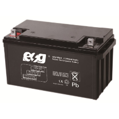 Ắc quy ESG 12V-65AH