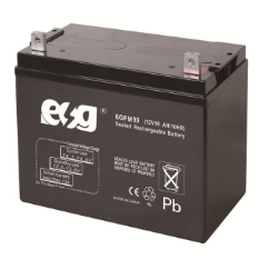 Ắc quy ESG 12V-90AH