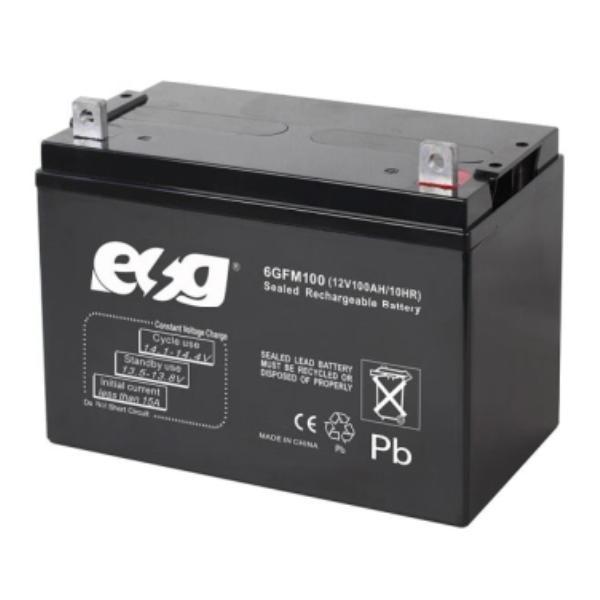 Ắc quy ESG 12V-100AH