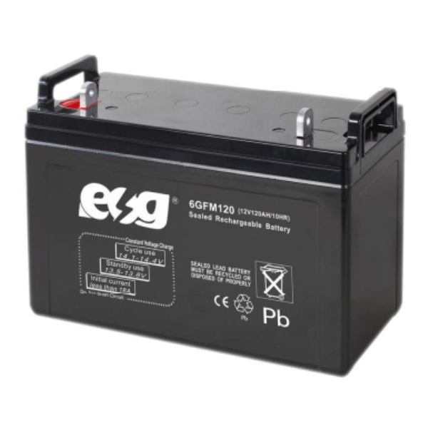 Ắc quy ESG 12V-120AH