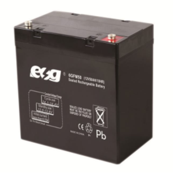 Ắc quy ESG 12V-55AH