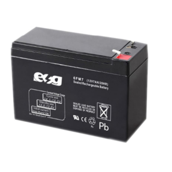 Ắc quy ESG 12V-9AH