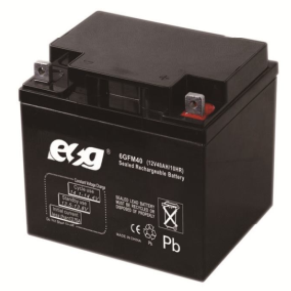 Ắc quy ESG 12V-40AH