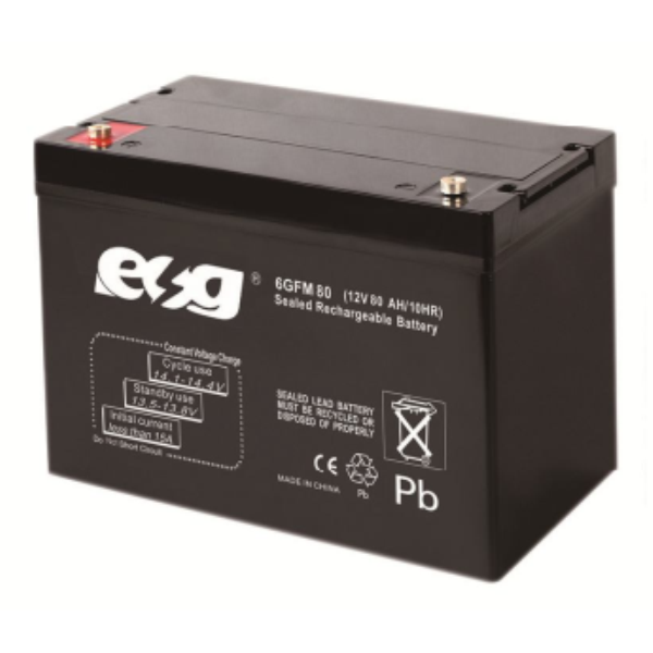 Ắc quy ESG 12V-80AH