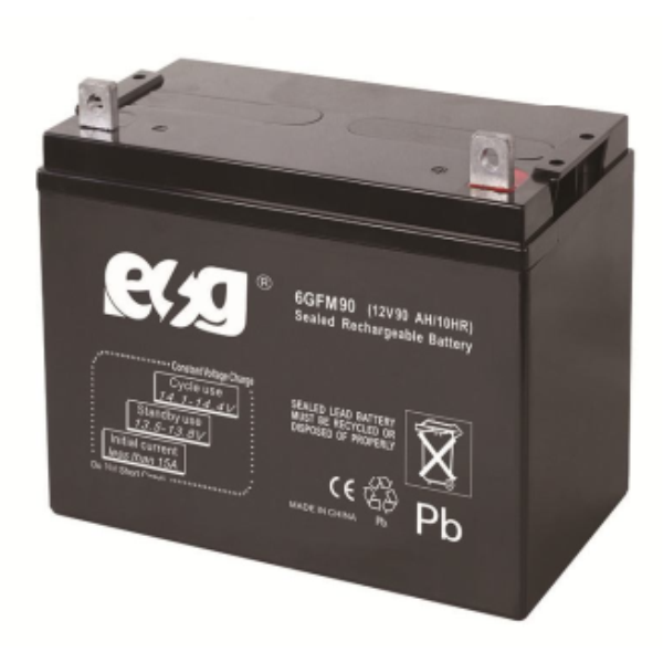 Ắc quy ESG 12V-90AH